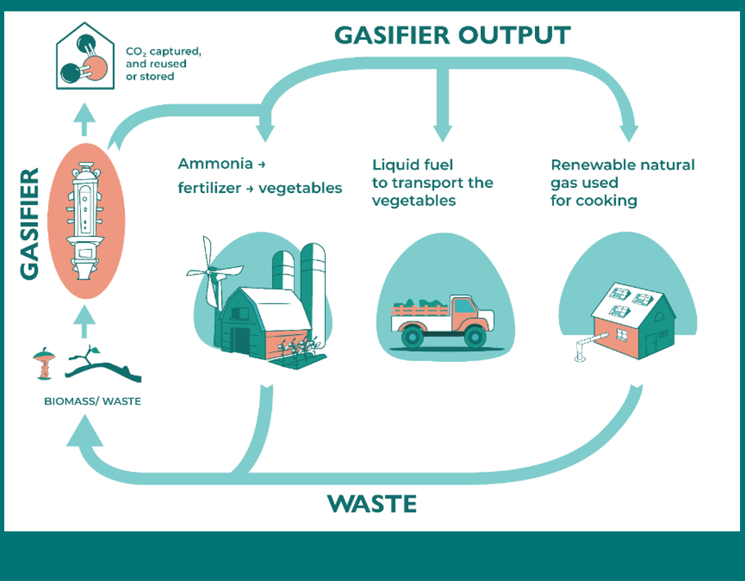A life-cycle diagram showing three outputs from a gasifier, including ammonia (used in fertilizer), liquid transportation fuels and cooking fuels. CO<sub>2</sub> produced from a gasifier can be captured and stored or re-used. Organic food and cooking waste can eventually be recycled and used as an input to the gasification process. In this case, a circular process is achieved.